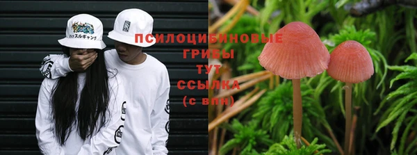 кокаин перу Тайга