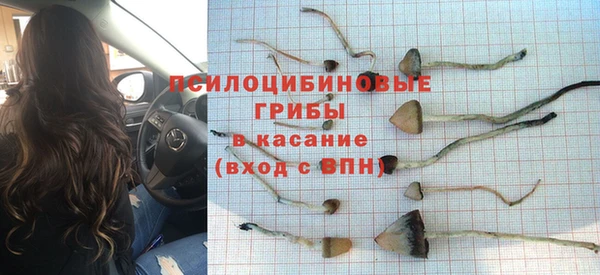 MDMA Ельня
