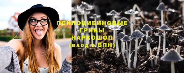 амф Елизово