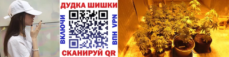 цена   Назарово  Бошки Шишки конопля 
